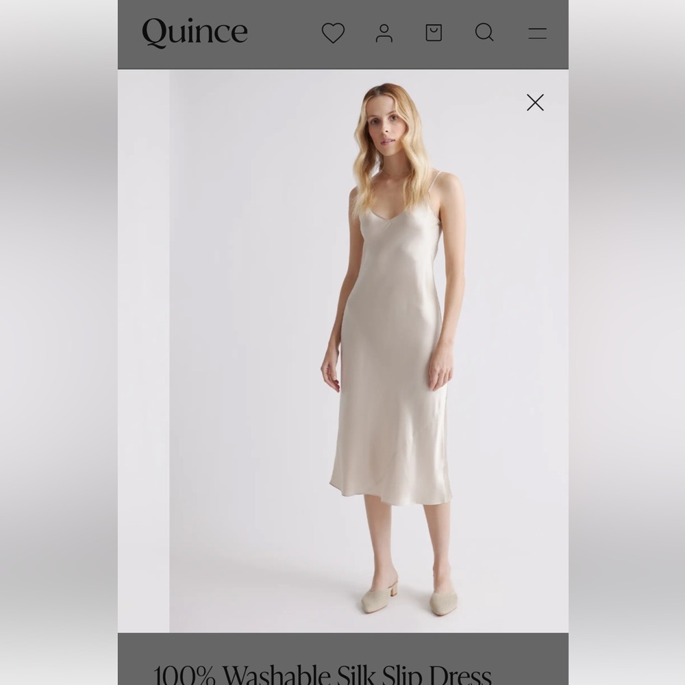 Quince 100% Silk Slip Dress Champagne